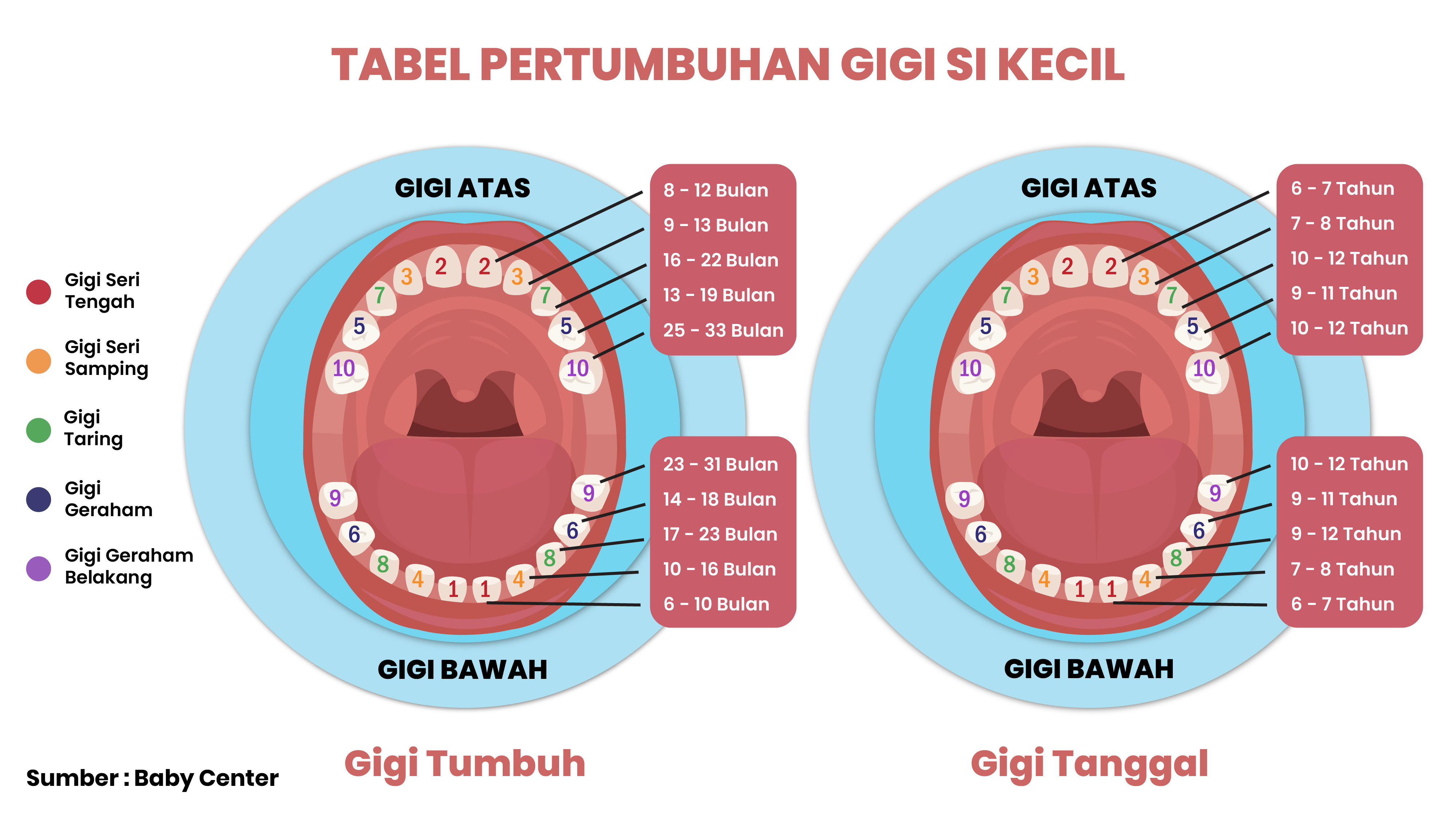 19f3b3d98a93a26b9dbcd5a175fb7c5b.jpg