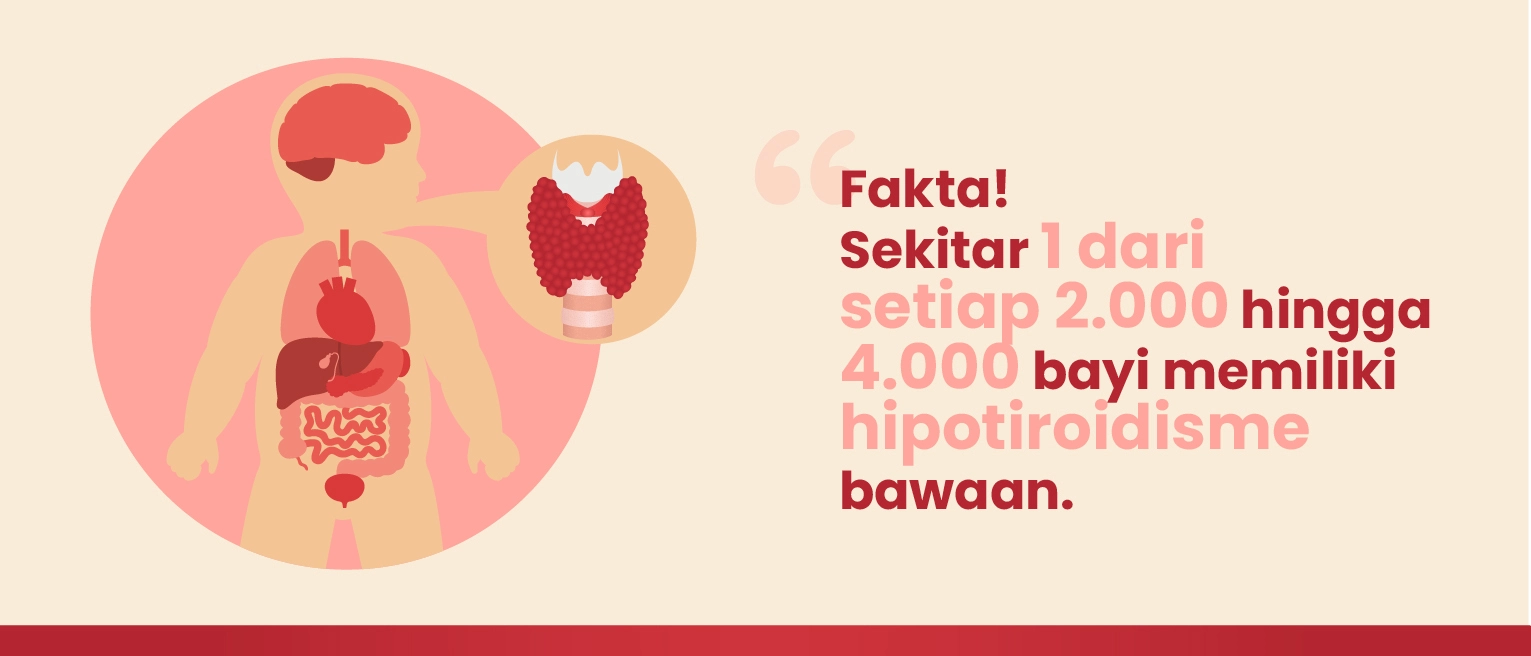 f2fe3eec54fc314a6044f7f94b359188.webp
