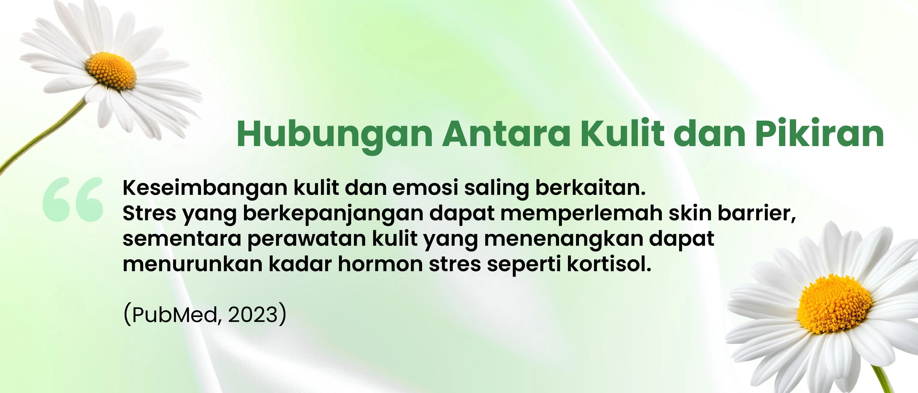 f91c8abfa2d7c5ca54b40332e480f501.webp